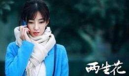 两生花全集在线观看,穿越时空的奇幻之旅